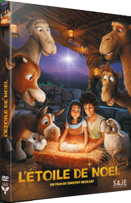 Étoile de Noël